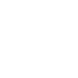The image is blank with a solid white background and no visible objects or text.