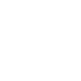 Image is completely blank with a solid white background.