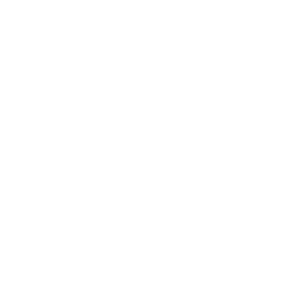 The image is completely blank with a white background.
