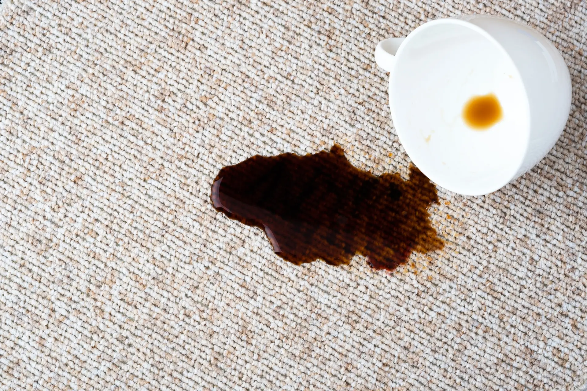 An overturned white coffee cup resting on a light-colored carpet next to a large dark liquid spill.